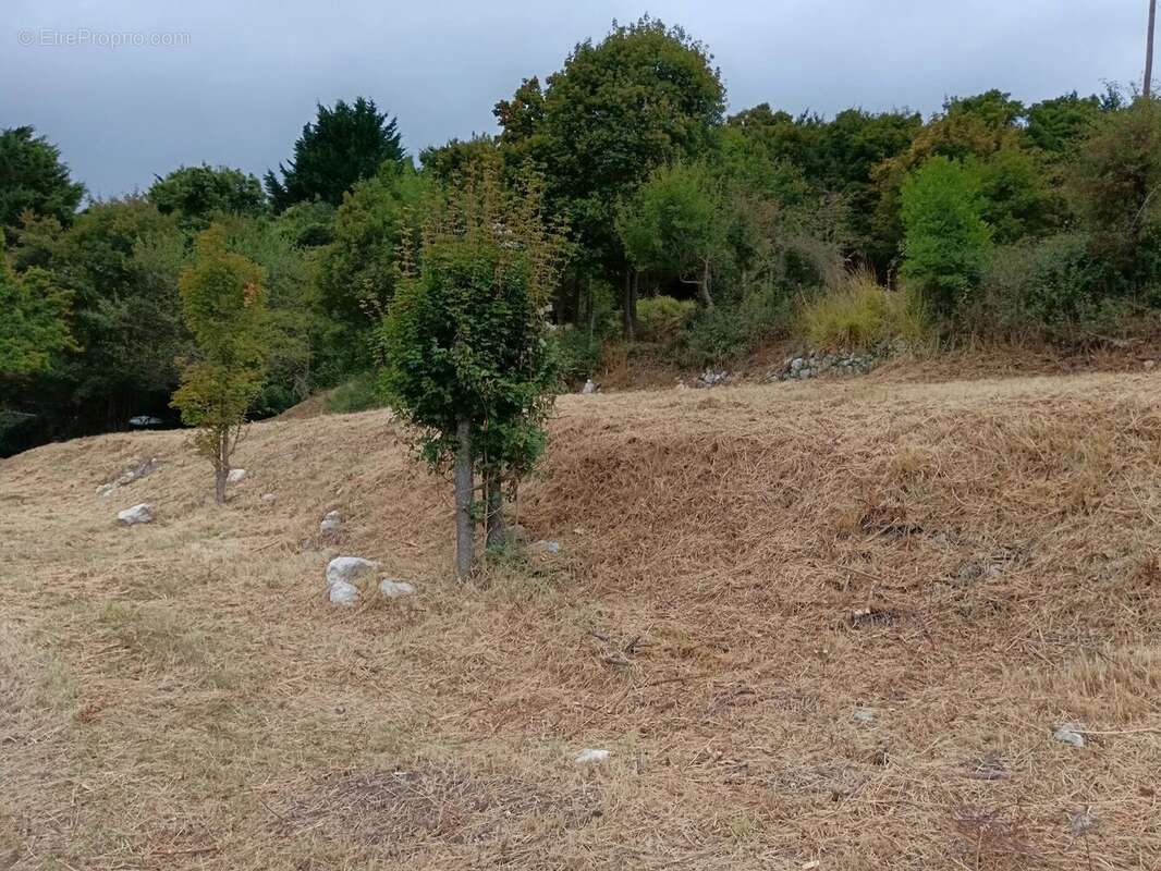 COURSEGOULES, RARE terrain constructible exposé sud - photo 11