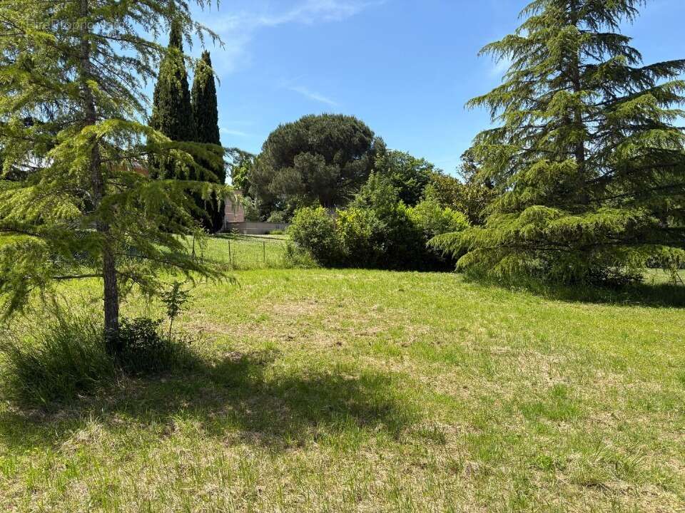 Terrain à ROUFFIAC-TOLOSAN