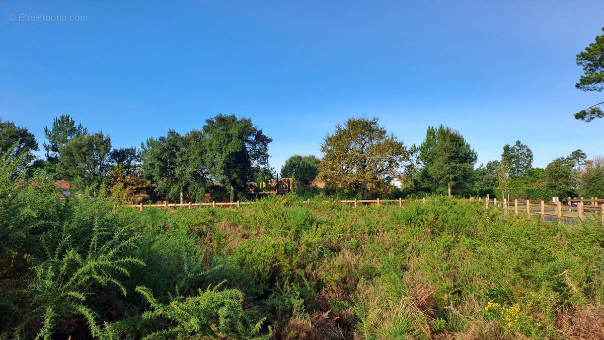 Terrain à MOLIETS-ET-MAA