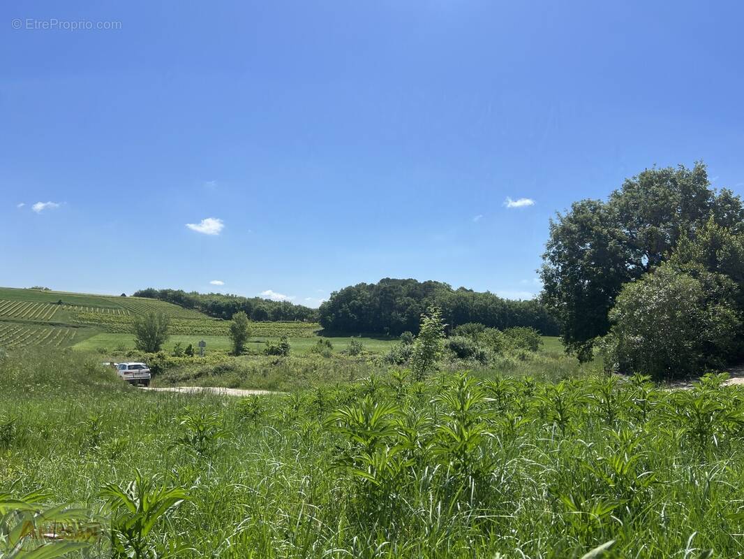 Terrain à SAINT-MAURICE-DE-CAZEVIEILLE