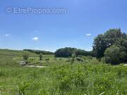 Terrain à SAINT-MAURICE-DE-CAZEVIEILLE