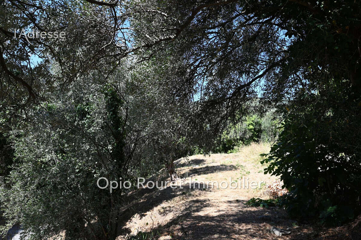 Terrain 1550 m² à Grasse  - photo 8