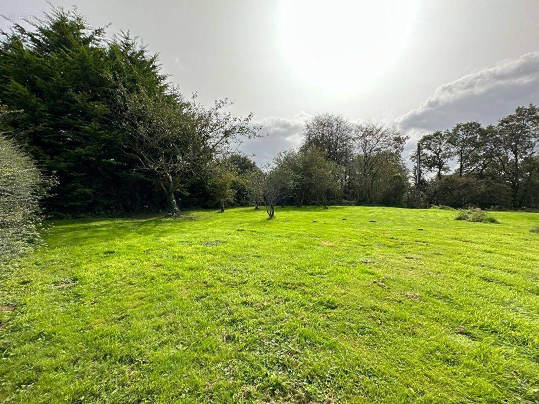 Terrain à SAINT-URBAIN