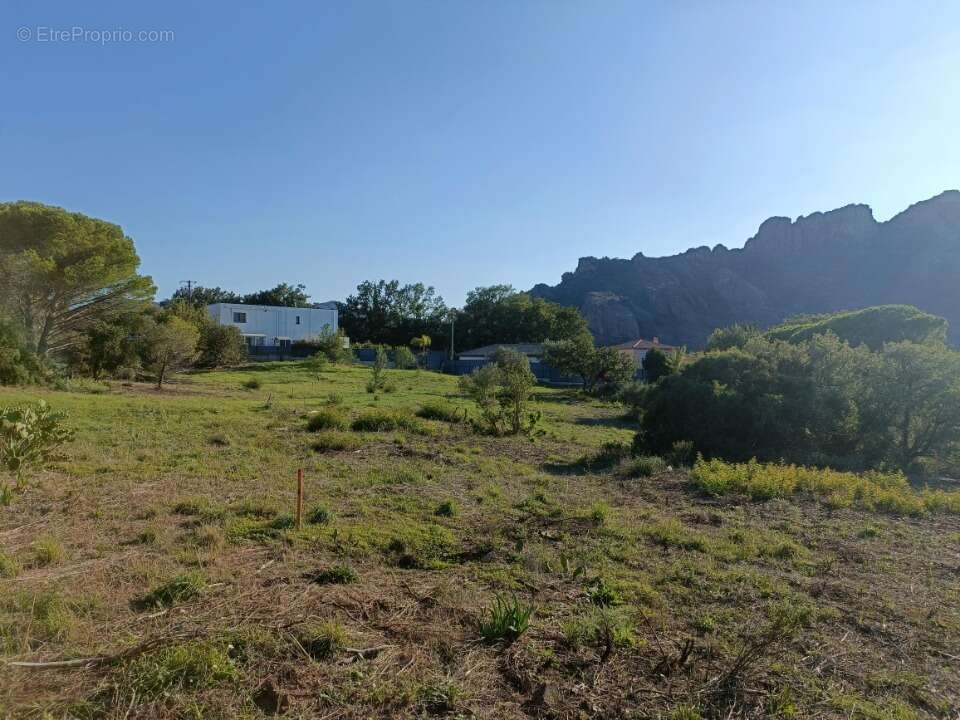 Terrain 750 m² à Roquebrune-Sur-Argens  - photo 4