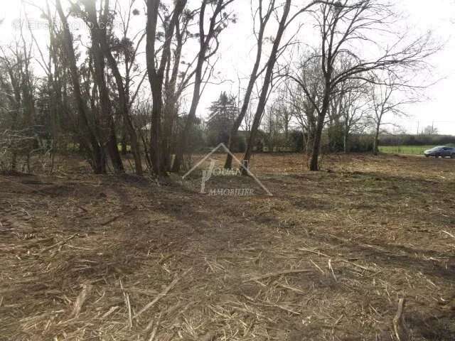 Terrain à VARENNES-SUR-ALLIER