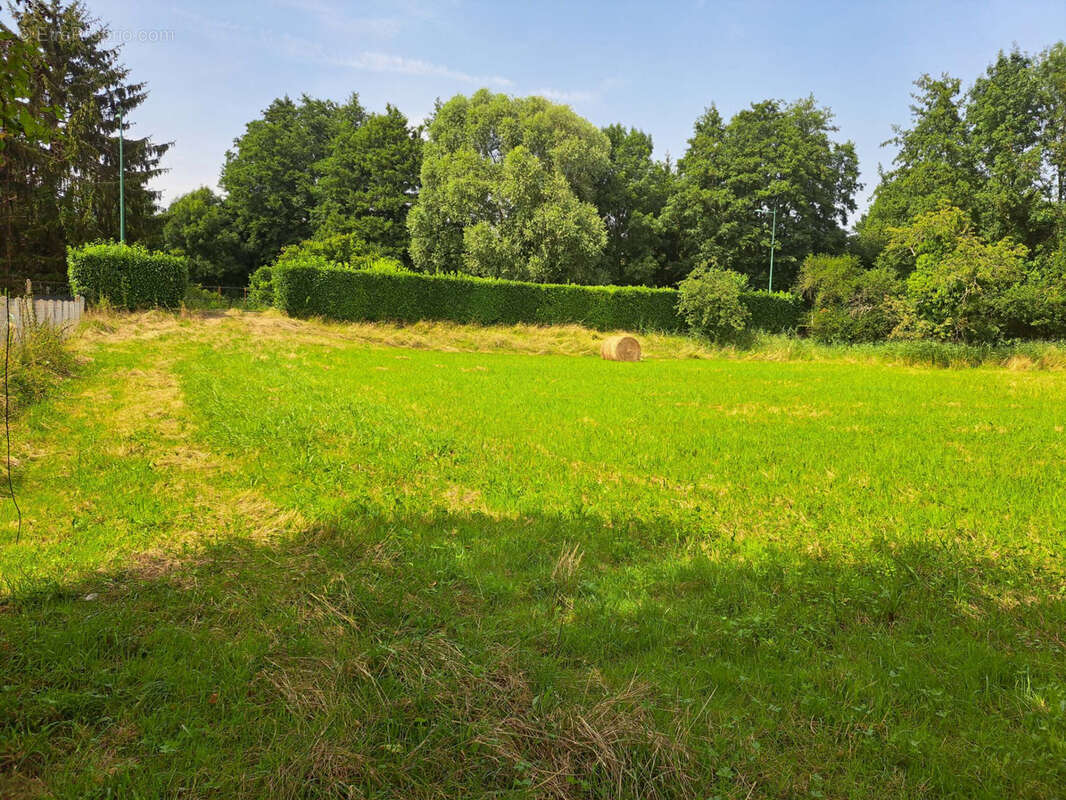 Terrain à SAINT-CALAIS