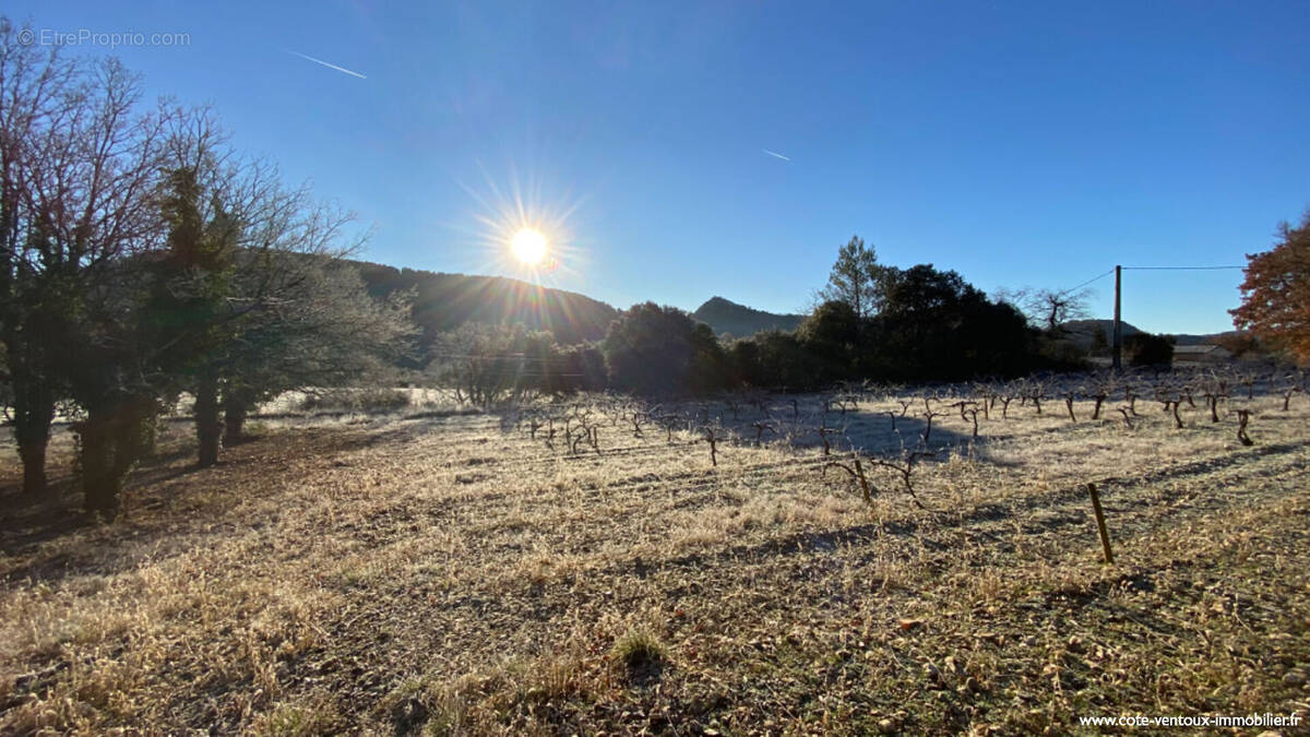 Terrain à ENTRECHAUX