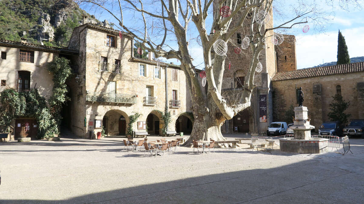 Maison à SAINT-GUILHEM-LE-DESERT