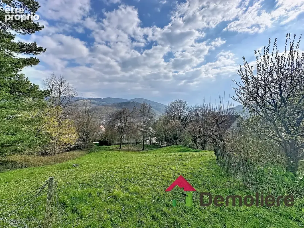 Maison 394 m² à Schirmeck  - photo 2