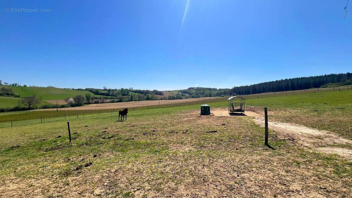Photo 3 - Maison à MONTAUBAN