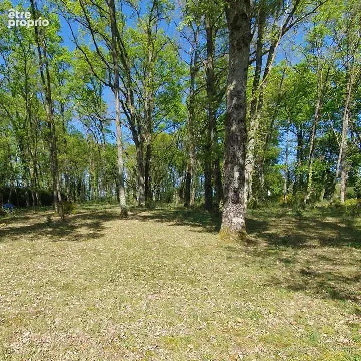 Maison 7 pièces 213 m² à vendre à Mardie (45430) - photo 17