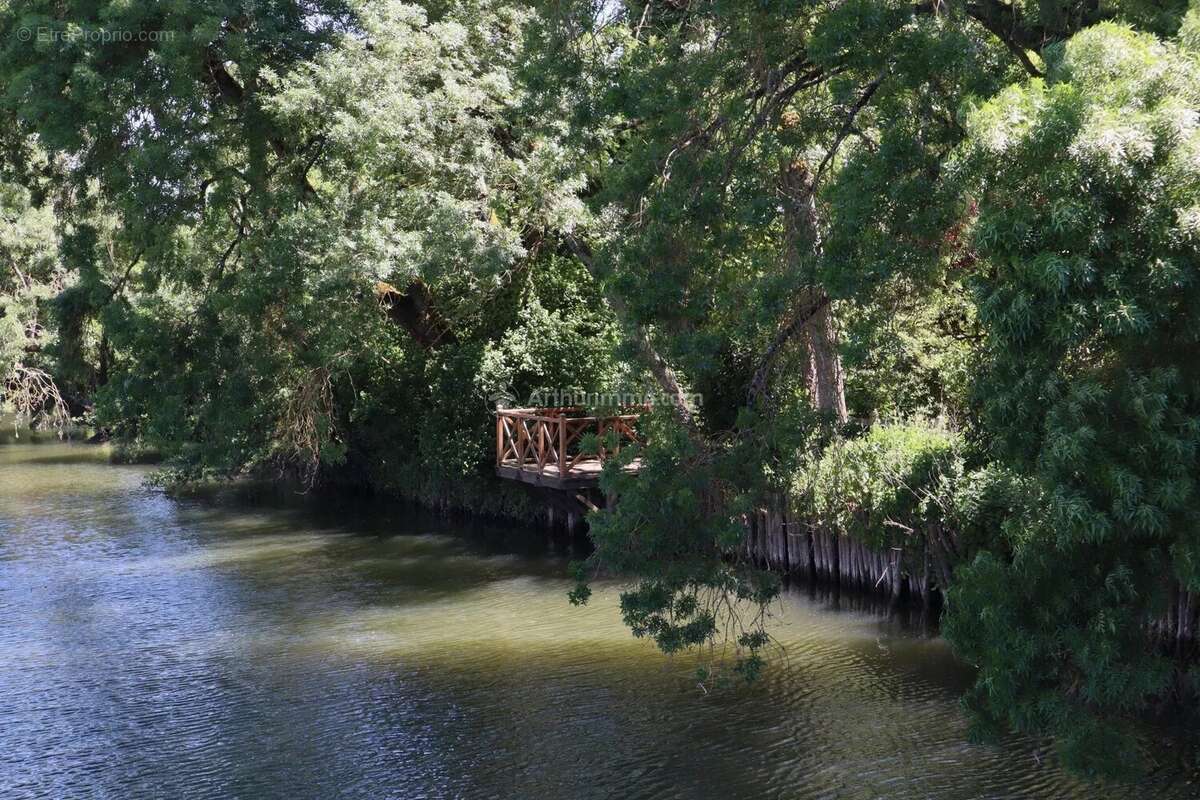 Maison à LA CHARTRE-SUR-LE-LOIR