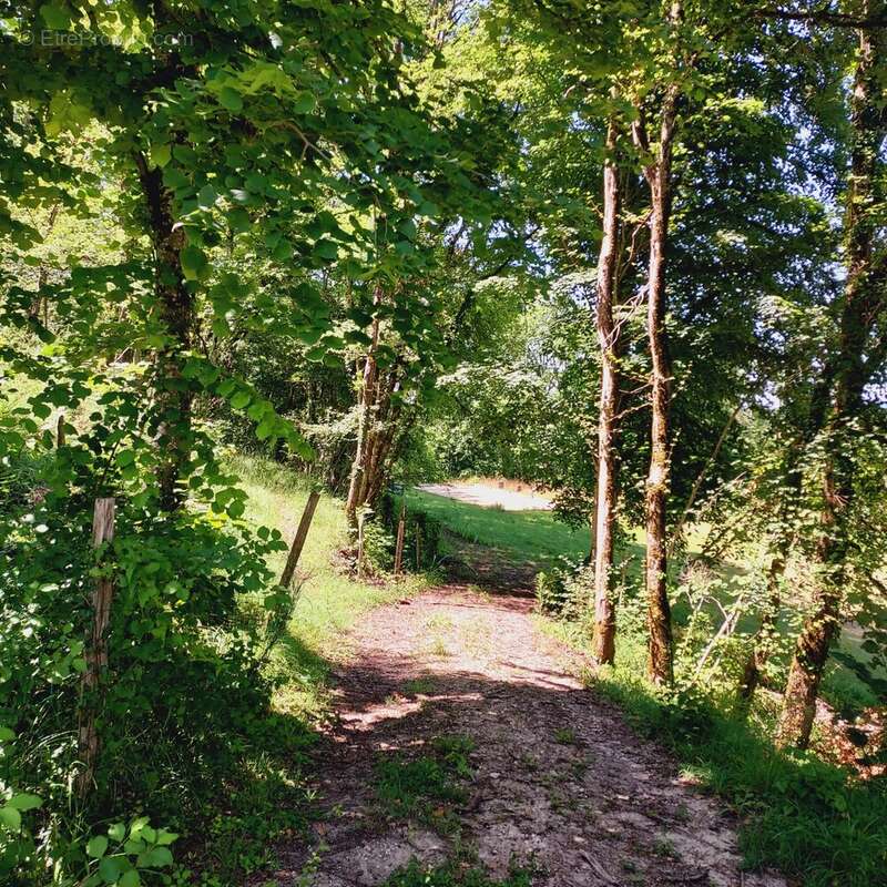 Maison à TOURNON-D&#039;AGENAIS