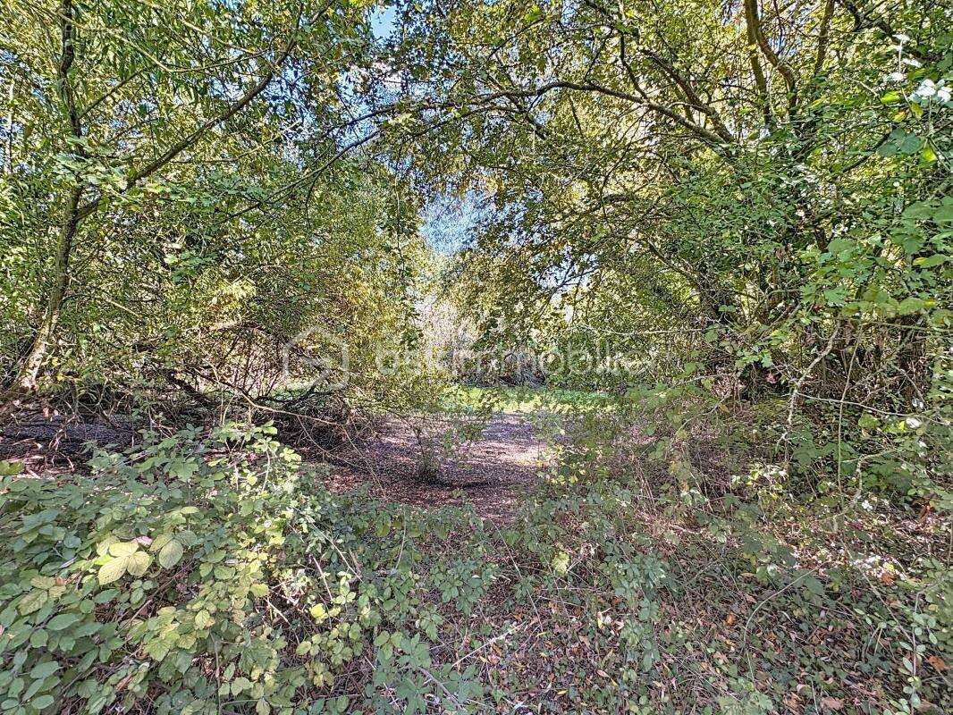 Terrain à CANTELOUP