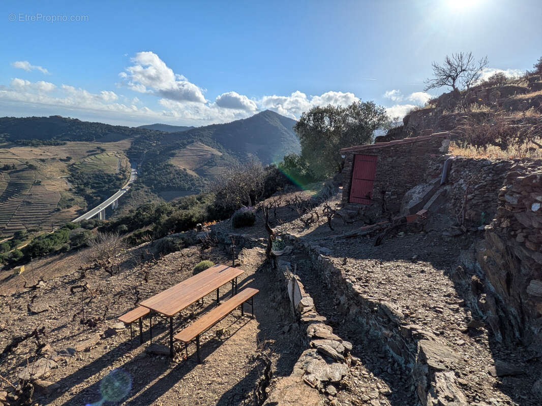Terrain à COLLIOURE