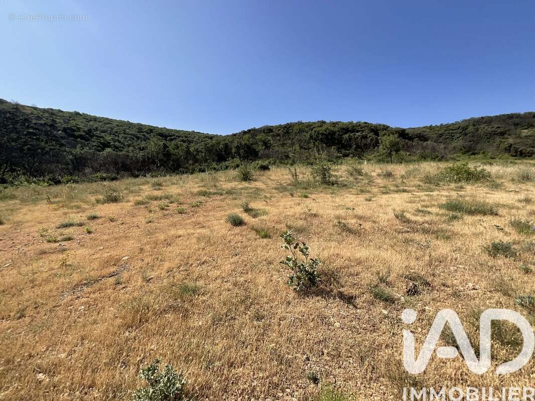 Terrain 321615 m² à Aumelas  - photo 7