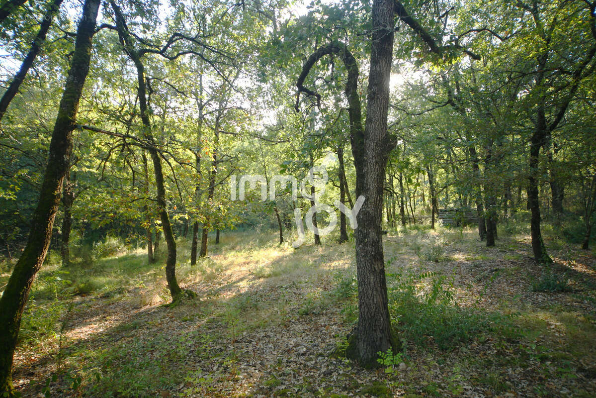 Caujac, environnement magnifique, petite maison de plain-pied au milieu de 3 hectares - photo 3