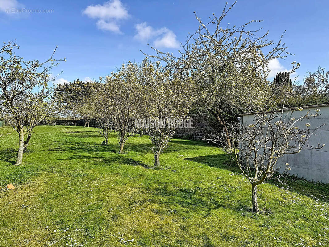 FRÉHEL CENTRE-BOURG - Maison 4 pièces avec sous-sol sur terrain de 1 700 m² - Proche plages et commerces - photo 23