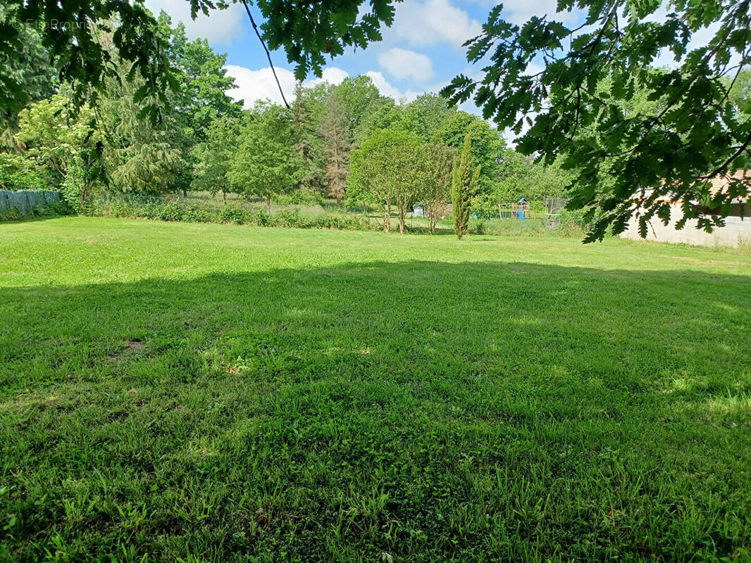 Terrain à SAINTE-FOY-DE-PEYROLIERES