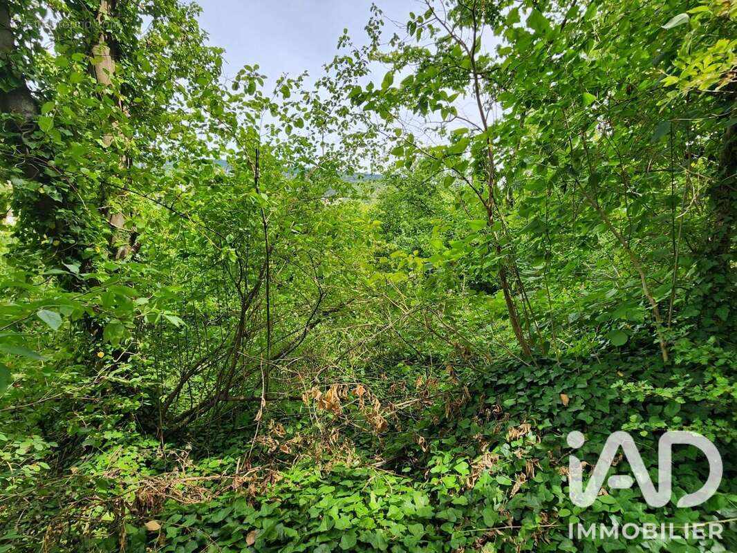 Terrain 2550 m² à Maule  - photo 3