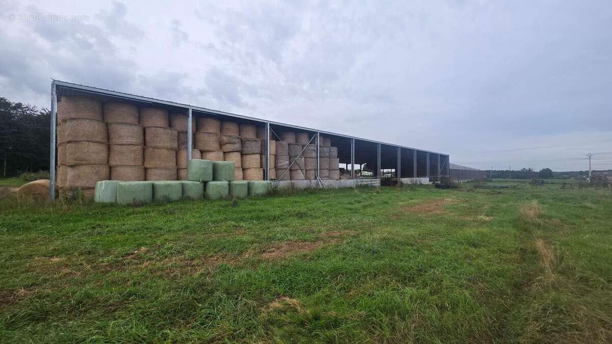 Photo 2 - Terrain à BAUGE