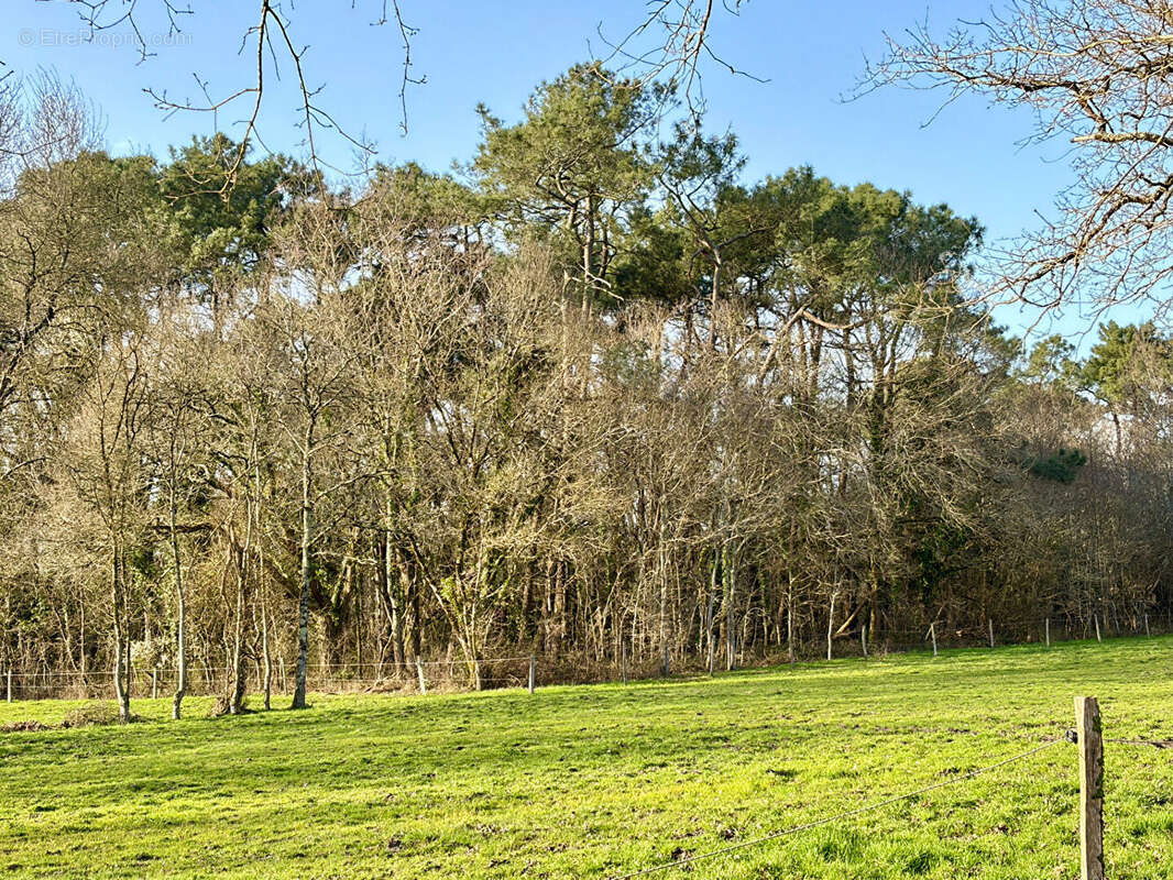 Terrain à SALLERTAINE