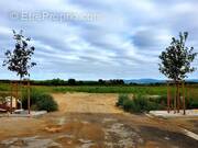 Terrain à MONTAGNAC