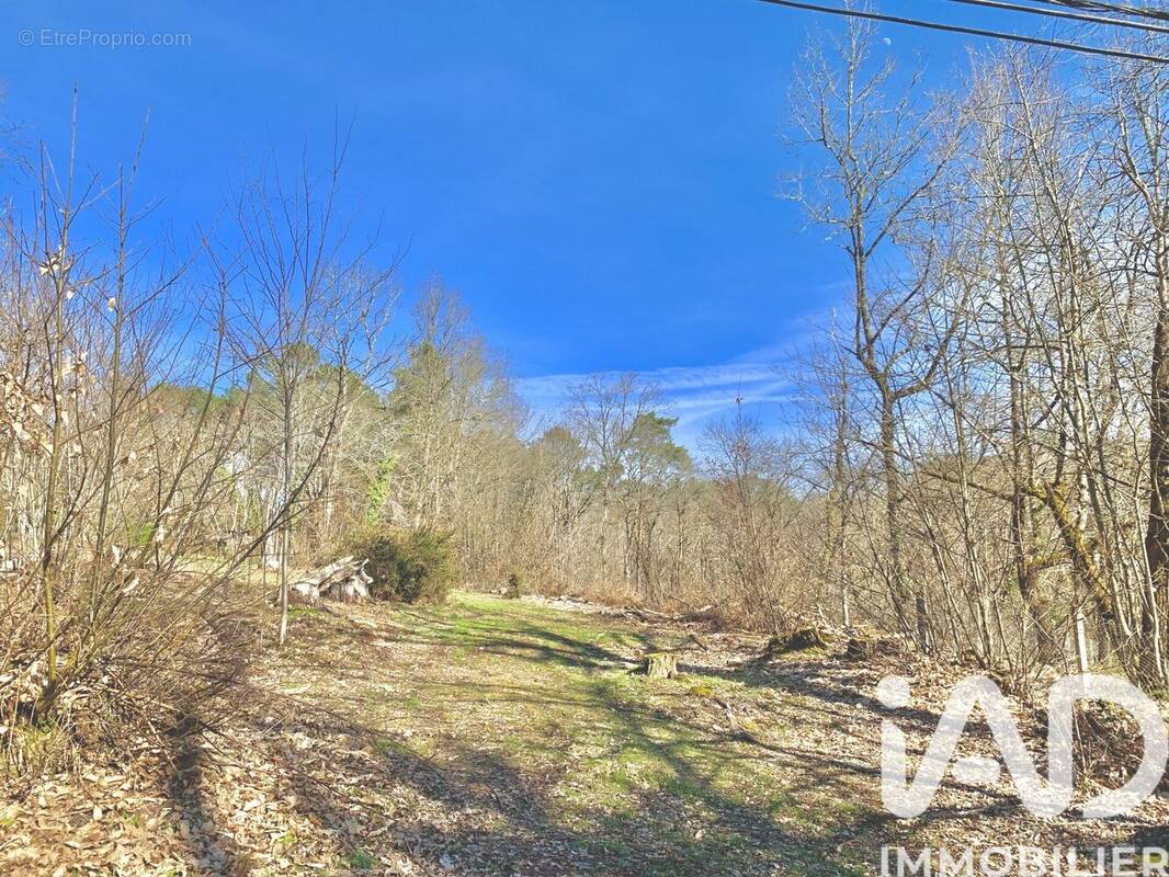 Photo 1 - Terrain à CHANCELADE