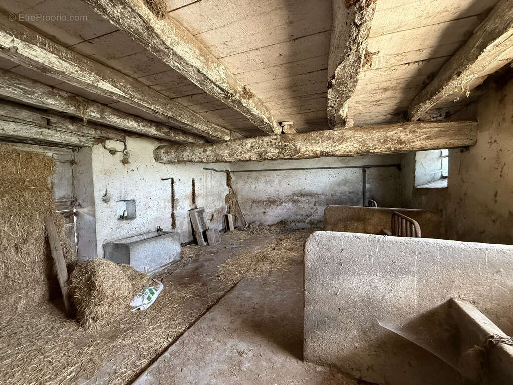 Maison à JOUQUEVIEL