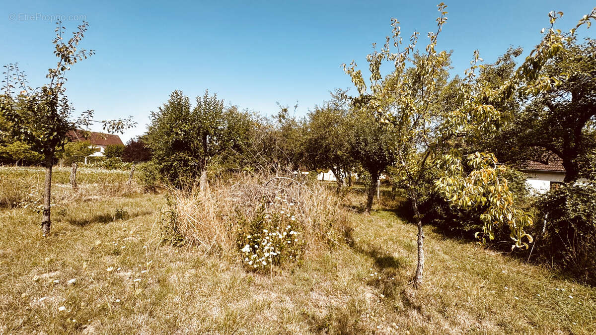 Maison à VAULT-DE-LUGNY
