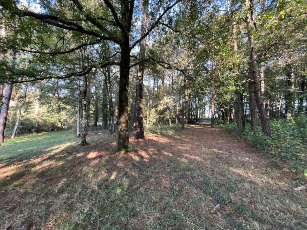 Maison à MALESTROIT