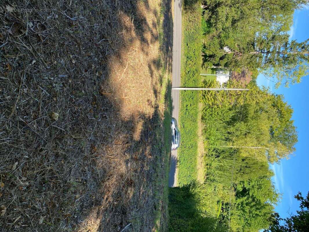 Photo 2 - Terrain à CLEREY