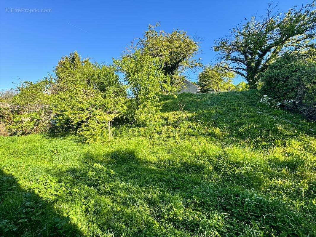 Maison à MENNETOU-SUR-CHER
