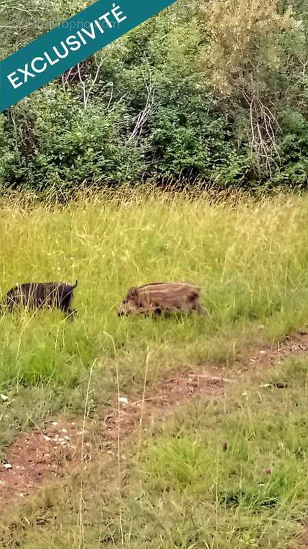 Photo 4 - Terrain à BENON