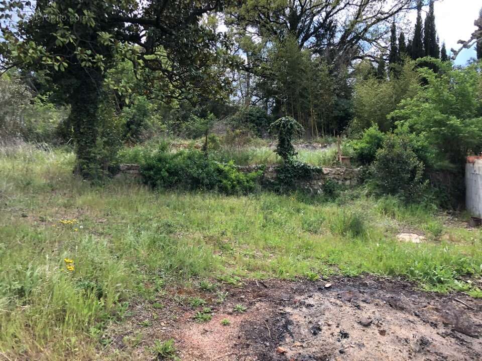 Terrain à BOUC-BEL-AIR