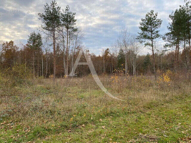 Terrain à PRUNIERS-EN-SOLOGNE