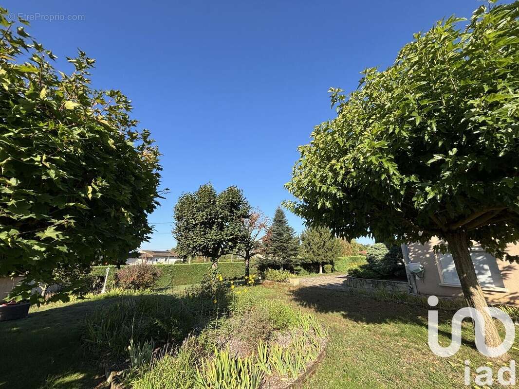 Photo 6 - Maison à FRANCHELEINS