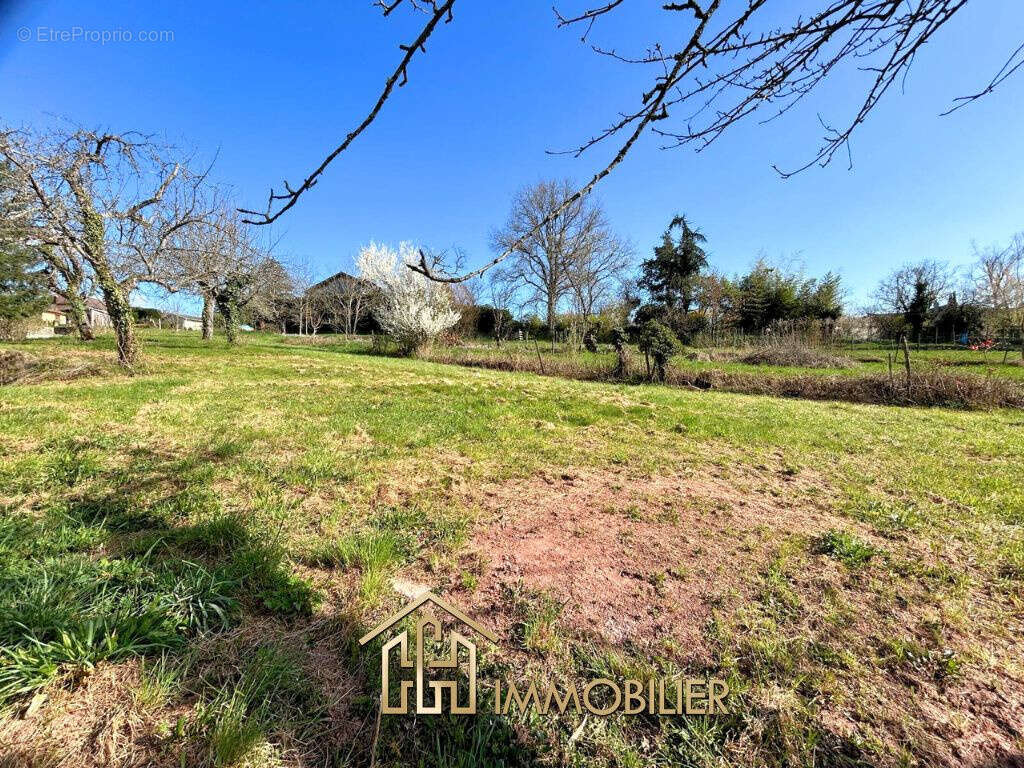 Terrain à VILLE