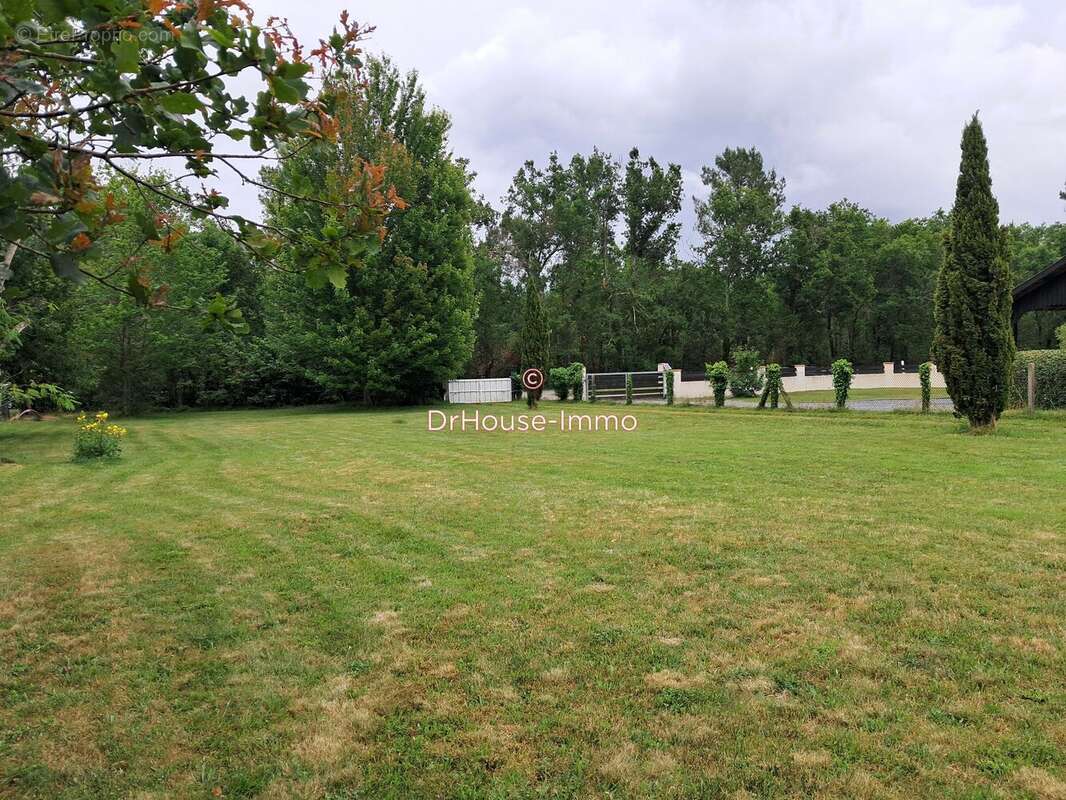 Terrain à BISCARROSSE