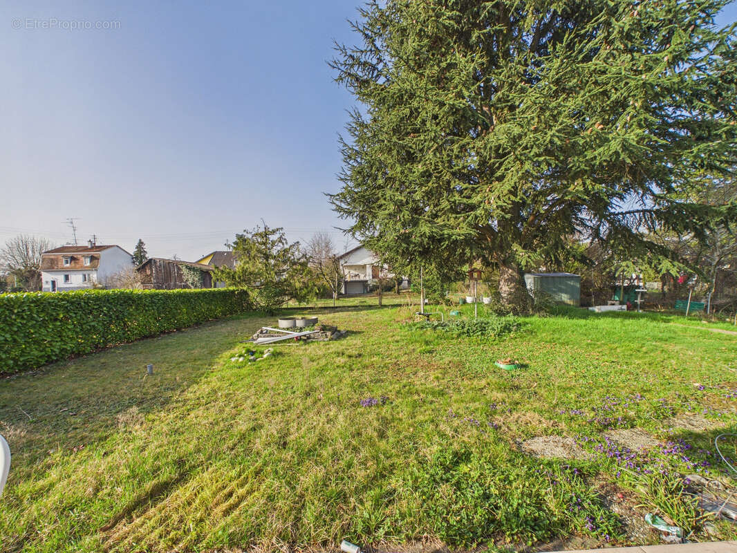 Maison à SAINT-LOUIS