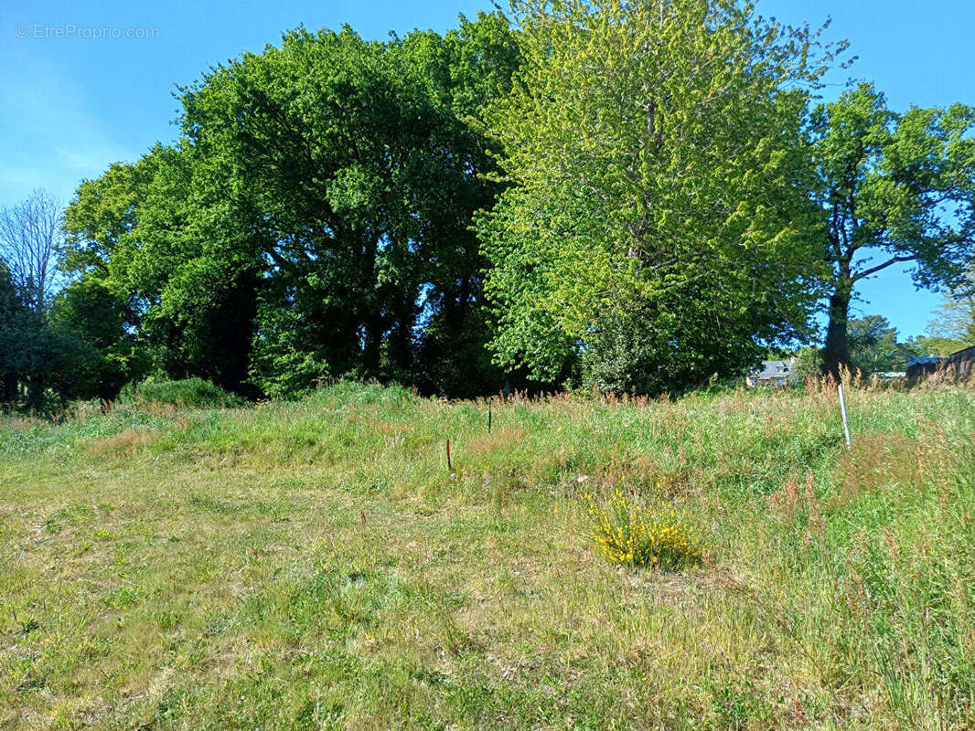 Terrain à BEGANNE
