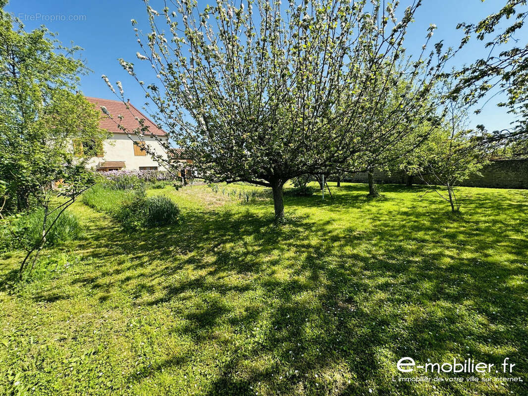 Maison à SAINT-JULIEN-DE-JONZY
