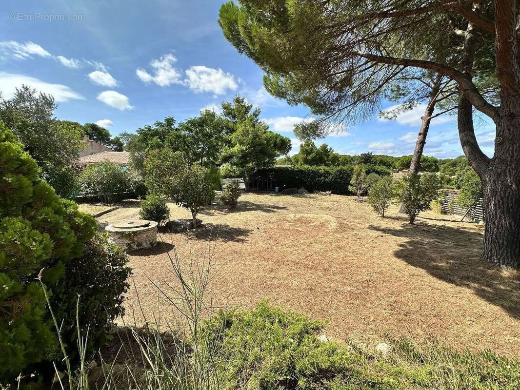 Photo 2 - Maison à PEZENAS