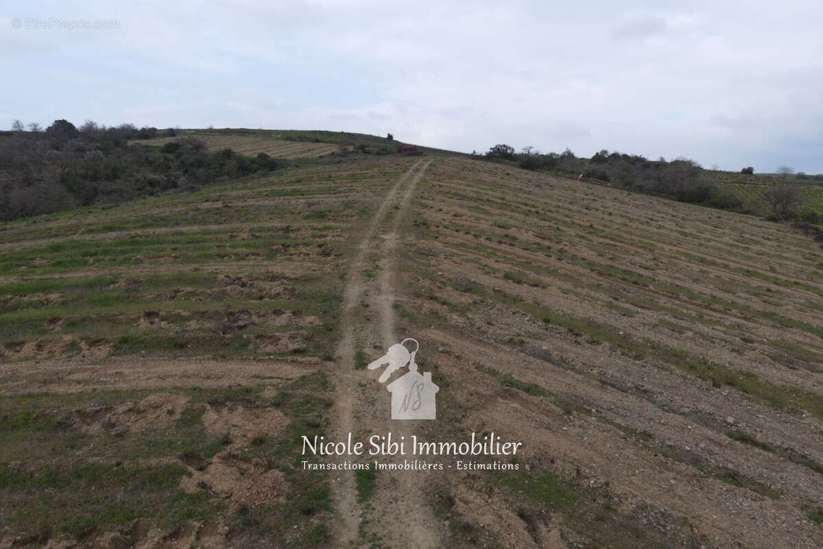 Terrain à MONTNER