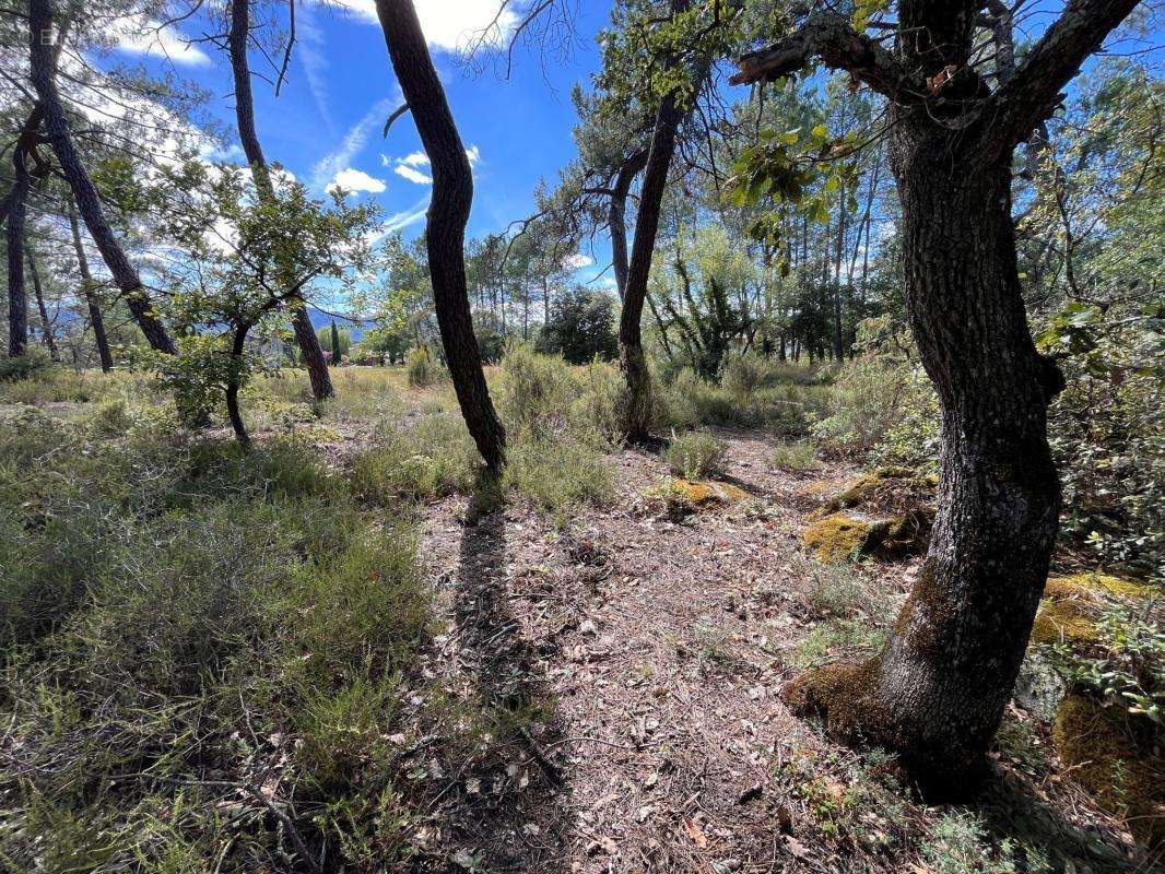 Terrain à LES ASSIONS