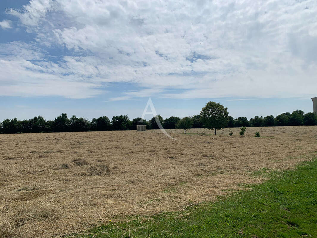 Terrain de loisirs de 22 350m² - photo 4