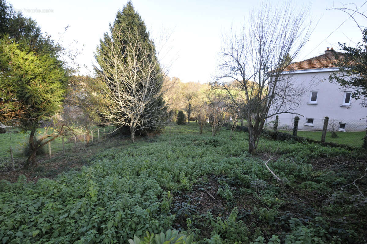 Terrain à VICQ-SUR-BREUILH