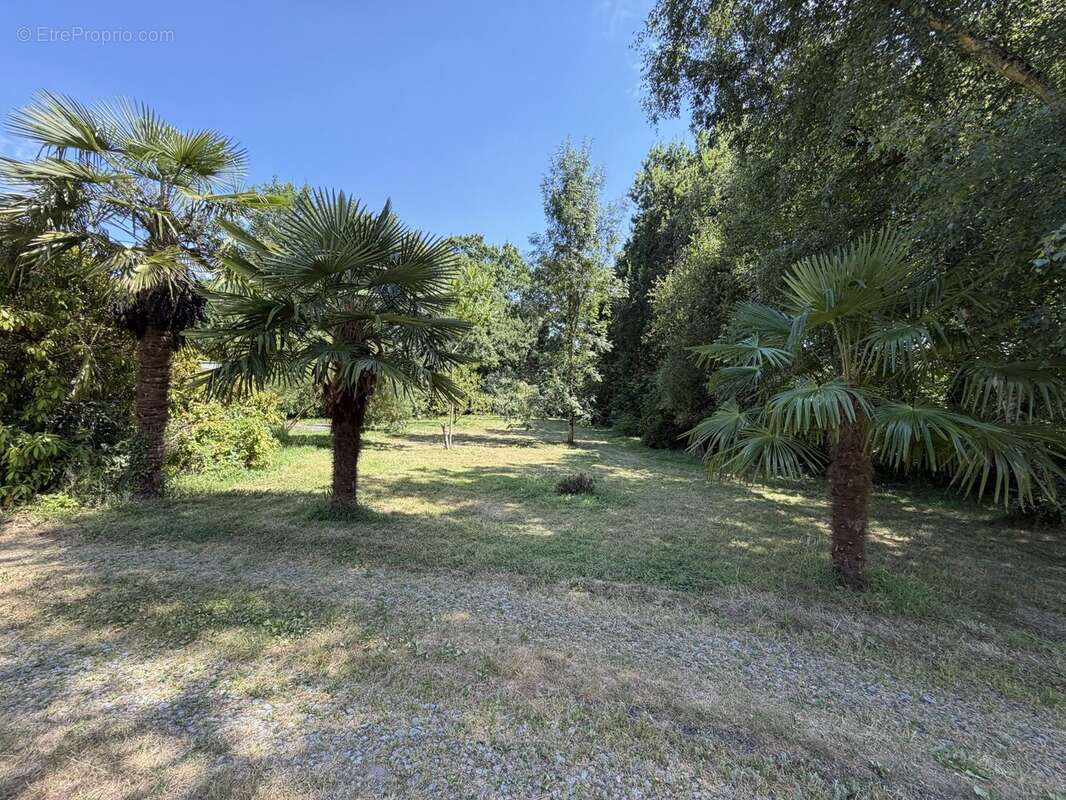 Maison 196 m² à Plemet  - photo 2