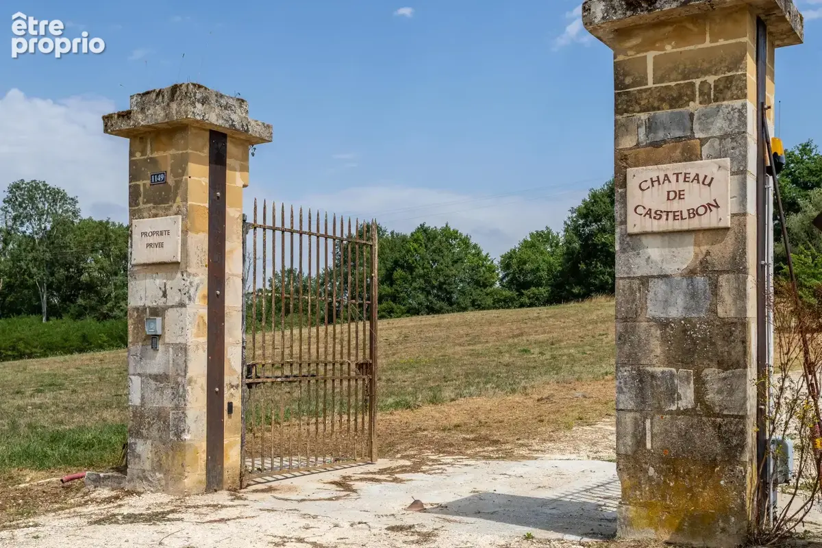 Château - Une situation magnifique et des intérieurs époustouflants - photo 28