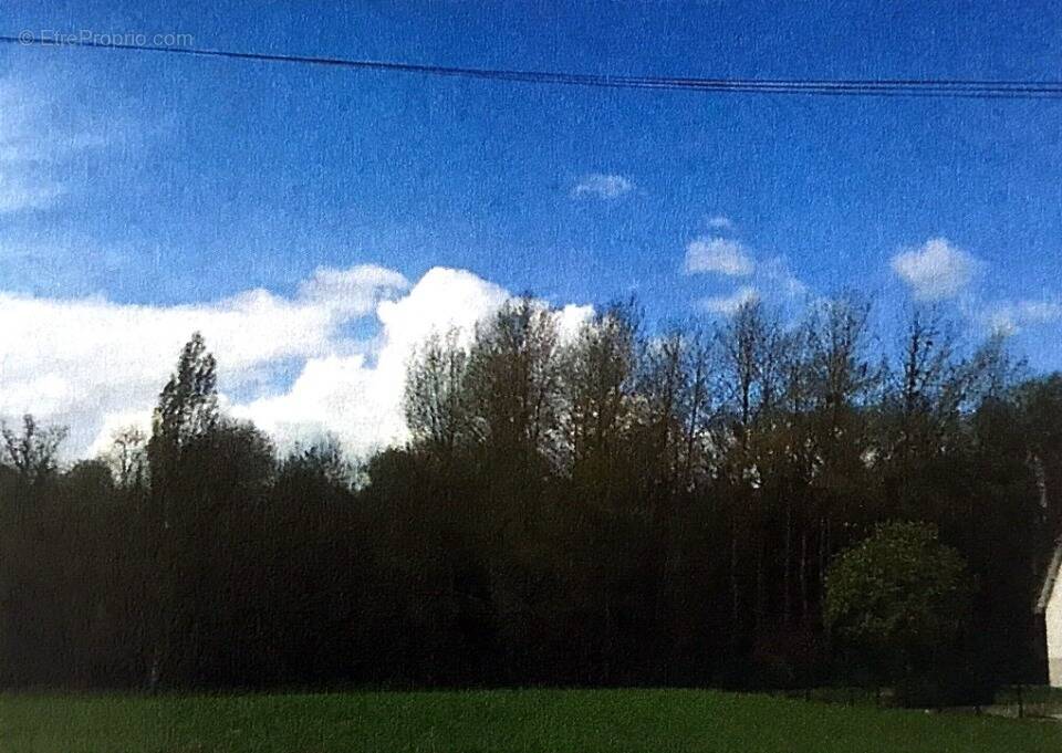 Terrain à SAINT-LYE